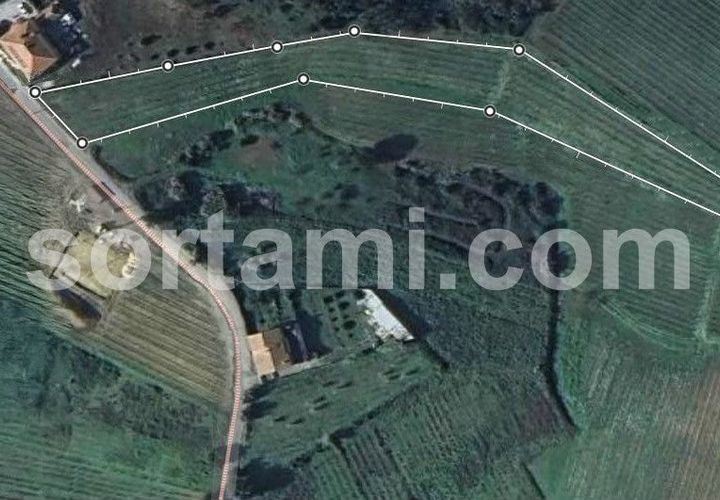 Helårsgrund i Anadia, Aveiro, Anadia - € 37.000 | Ref: Sort23279 - foto 1