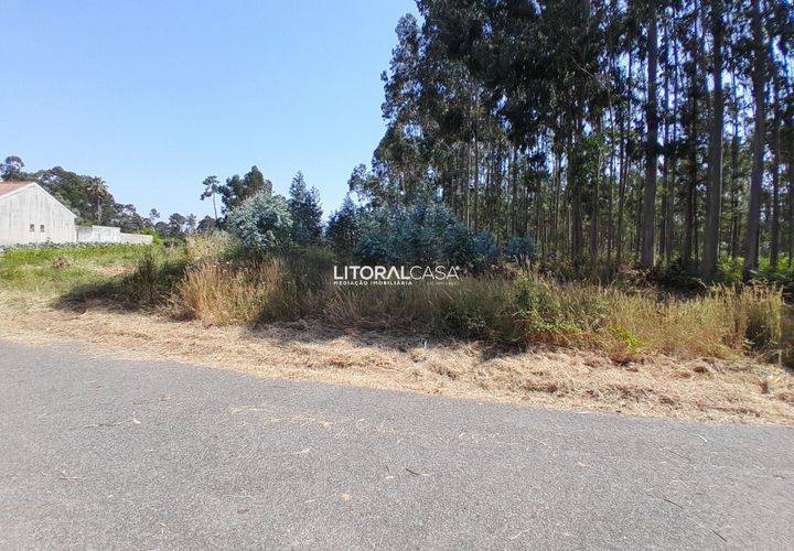 Helårsgrund i Agueda, Aveiro, Agueda - € 35.000 | Ref: VEN-4089 - foto 1