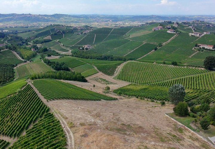 Tomt i Barbaresco, Cuneo, Barbaresco - € 620 000 | Ref: 13550 - foto 1