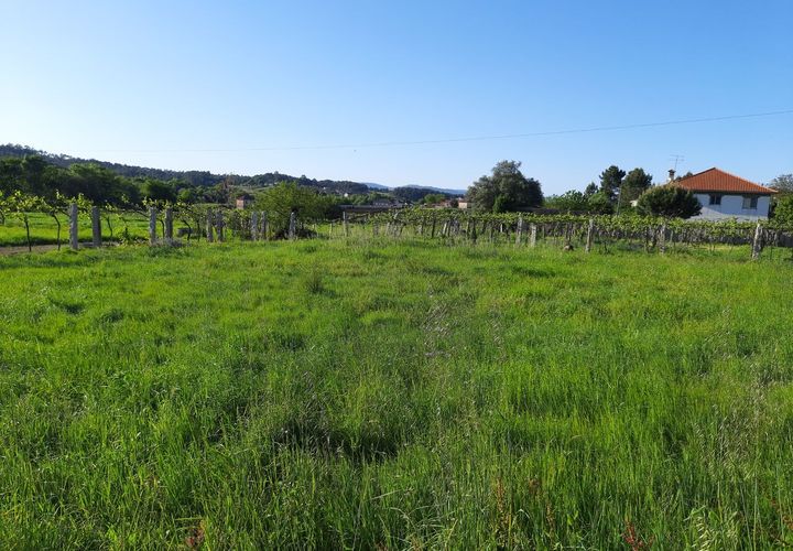 Helårsgrund i Moncao, Viana do Castelo, Moncao - € 33.000 | Ref: SF-SAFTI:001087 - foto 1
