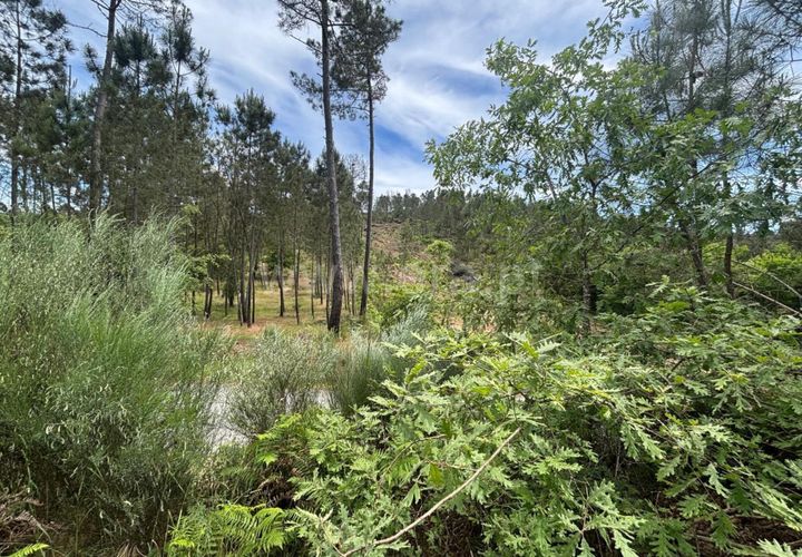 Helårsgrund i Mangualde, Viseu, Mangualde - € 35.000 | Ref: 389250150 - foto 1