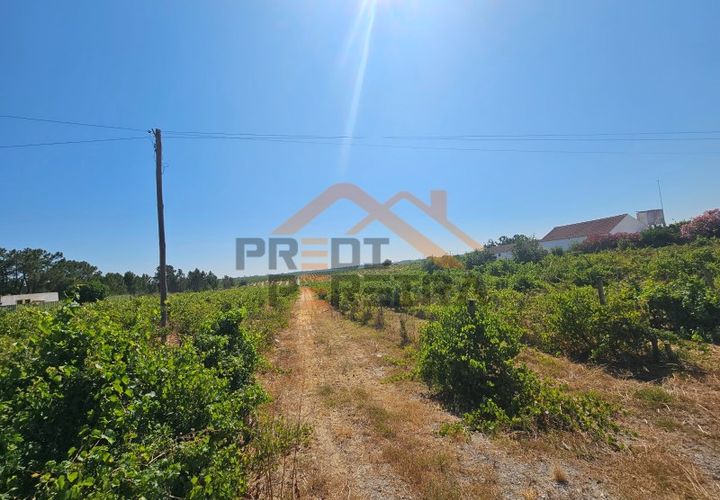 Helårsgrund i Palmela, Setubal, Palmela - € 200.000 | Ref: PP5623 - foto 1