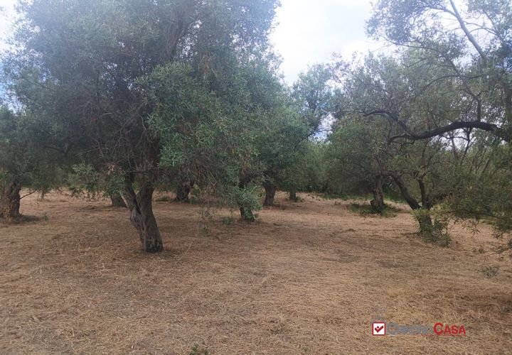 Tomt i Caltagirone, Catania, Caltagirone - € 19 500 | Ref: TRT-8920 - foto 1