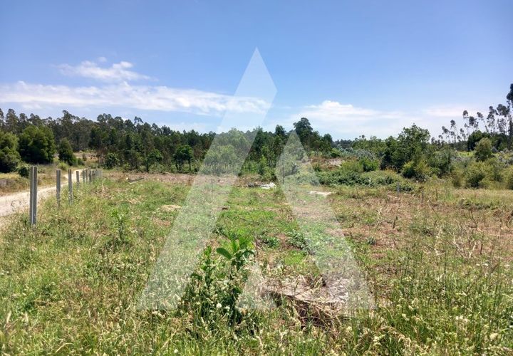Helårsgrund i Estarreja, Aveiro, Estarreja - € 14.000 | Ref: 1060895/24 AL - foto 1