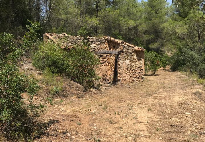 Finca i Benifallet, Tarragona, Benifallet - € 20.000 | Ref: Cn - foto 1