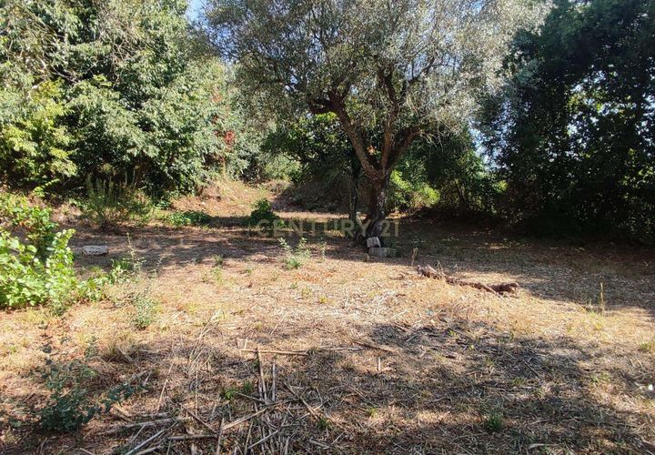 Helårsgrund i Antuzede e Vil de Matos, Coimbra, Antuzede e Vil de Matos - € 30.000 | Ref: C0372-01670 - foto 1