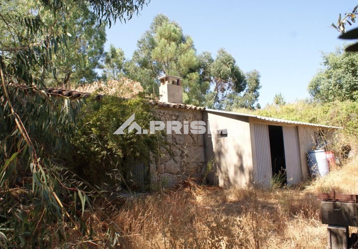 Helårsgrund i Castelo Branco, Castelo Branco, Castelo Branco - € 47.500 | Ref: PP4589 - foto 1