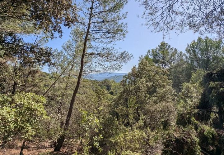 Terra a Brunet, Alpes-de-Haute-Provence, Brunet - € 12.000 | Ref: 3558 - foto 1