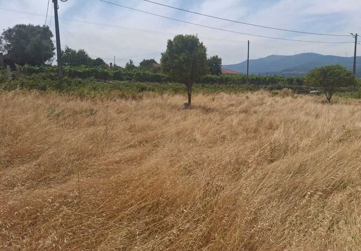 Terra a Ceivaes e Badim, Viana do Castelo, Ceivaes e Badim - € 70.000 | Ref: SF-SAFTI:007093 - foto 1