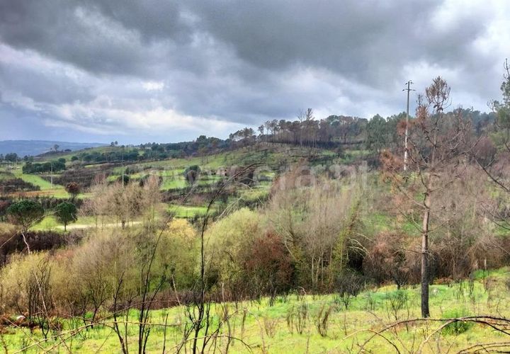 Landejendom i Mangualde, Viseu, Mangualde - € 80.000 | Ref: 389250122 - foto 1