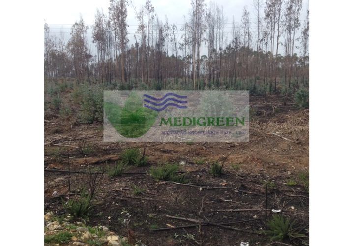 Helårsgrund i Agueda, Aveiro, Agueda - € 75.000 | Ref: TER_785 - foto 1