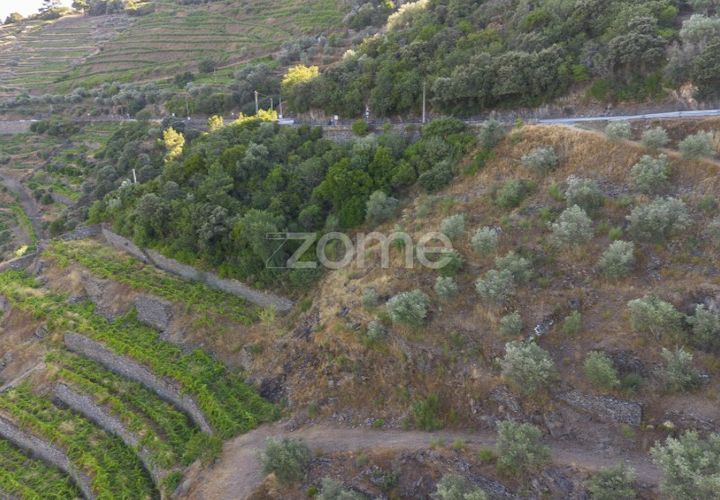 Grond in Sabrosa, Vila Real, Sabrosa - € 75.000 | Ref: ZMPT579693 - foto 1