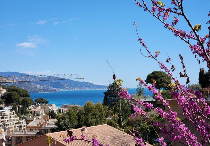 Villa i Roquebrune-Cap-Martin, Alpes-Maritimes, Roquebrune-Cap-Martin - € 2.200.000 | Ref: HH-15867042 - foto 1