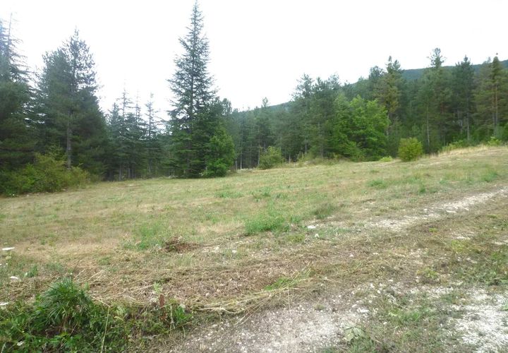 Helårsgrund i Annot, Alpes-de-Haute-Provence, Annot - € 126.000 | Ref: 86150765 - foto 1
