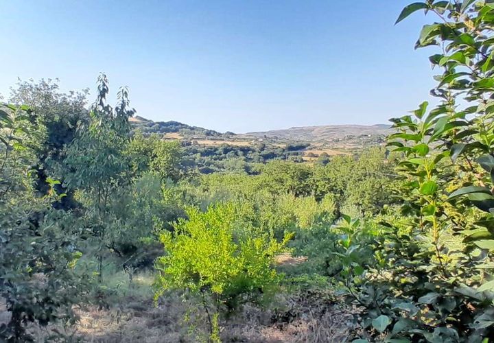 Landejendom i Monterosso Almo, Ragusa, Monterosso Almo - € 95.000 | Ref: RP-576141-576141 - foto 1