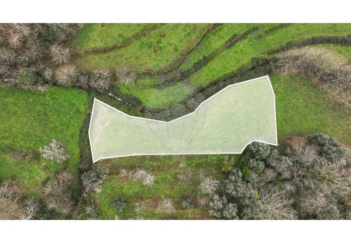 Helårsgrund i Chorense e Monte, Braga, Chorense e Monte - € 36.500 | Ref: 126971007-9 - foto 1
