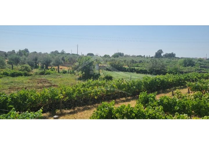 Terra a Alcains, Castelo Branco, Alcains - € 30.000 | Ref: SÒL_158 - foto 1