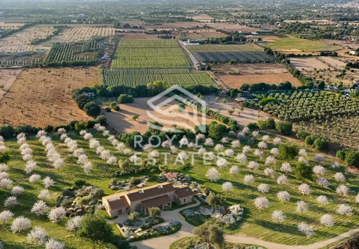 Villa a Binissalem, Mallorca, Binissalem - € 7.995.000 | Ref: 127510 - foto 1