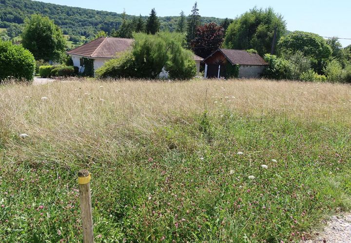 Terra a Rurey, Doubs, Rurey - € 75.000 | Ref: 319-BES - foto 1