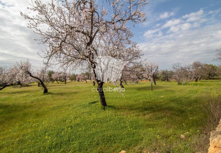 Helårsgrund i Faro, Faro, Faro - € 460.000 | Ref: 3618 - foto 1
