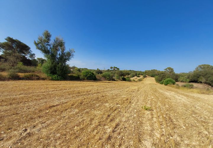 Terra a Sineu, Mallorca, Sineu - € 130.000 | Ref: 903 - foto 1
