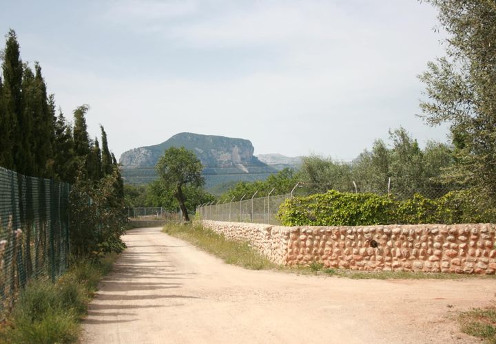 Terra a Lloseta, Mallorca, Lloseta - € 330.000 | Ref: 236 - foto 1