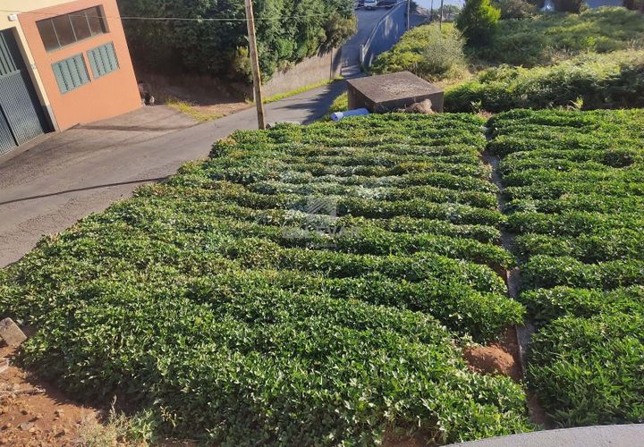 Helårsgrund i Calheta, Madeira, Calheta - € 50.000 | Ref: 26A/2025 - foto 1