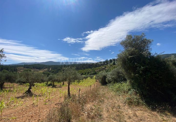 Tomt i Fundao, Castelo Branco, Fundao - € 8 500 | Ref: 255250150 - foto 1