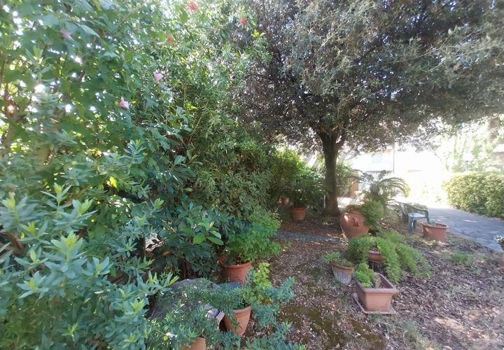 Villa i Rosignano Marittimo, Livorno, Rosignano Marittimo - € 289.000 | Ref: V177 - foto 1