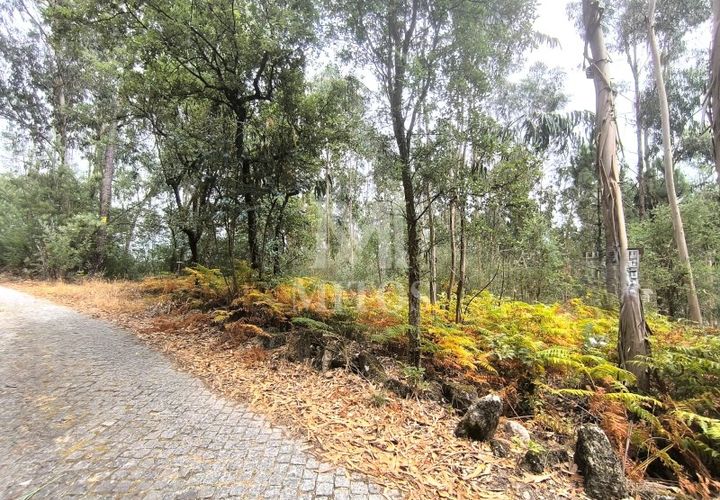 Helårsgrund i Barcelos, Braga, Barcelos - € 45.000 | Ref: S215 - foto 1