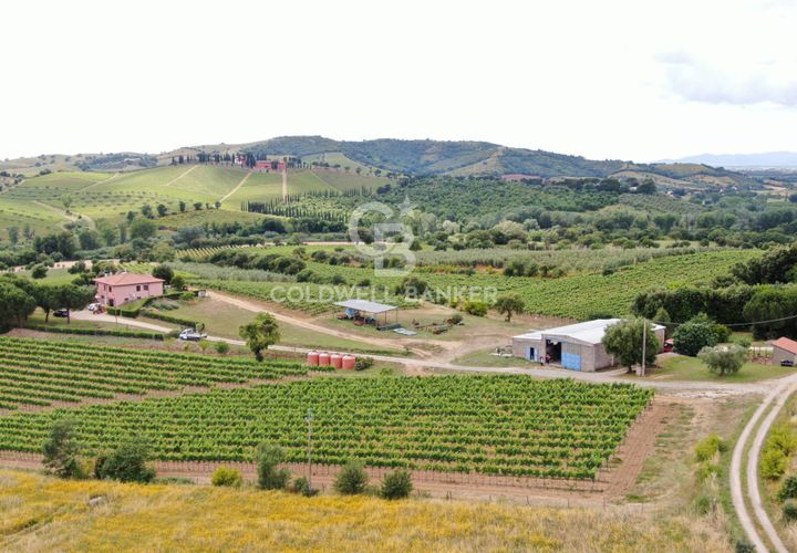 Farm i Grosseto, Grosseto, Grosseto - € 1.400.000 | Ref: CBI105-1176-420 - foto 1