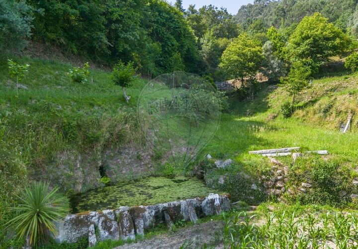 Terra a Amares, Braga, Amares - € 32.000 | Ref: 126971021-6 - foto 1