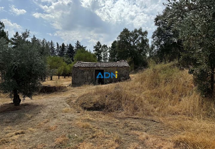 Helårsgrund i Castelo Branco, Castelo Branco, Castelo Branco - € 31.000 | Ref: 125075 - foto 1