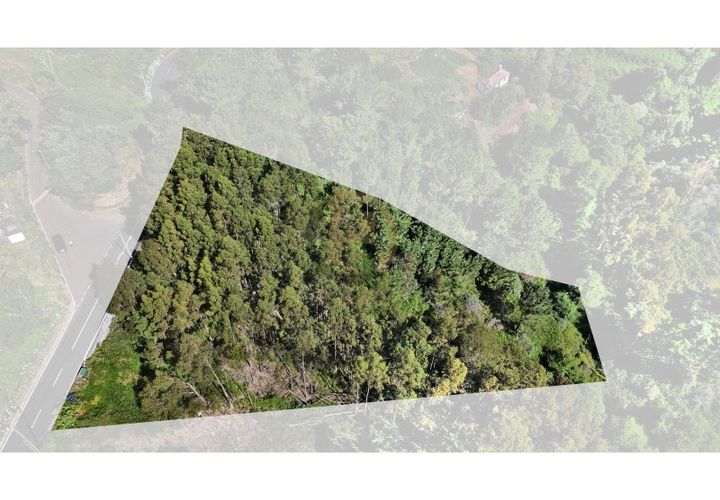 Terra a Camacha, Madeira, Camacha - € 50.000 | Ref: TER_22 - foto 1