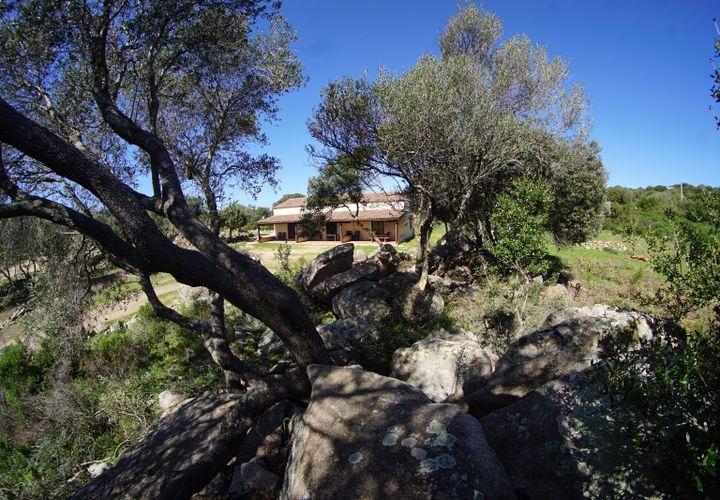 Villa a Luogosanto, Sassari, Luogosanto - € 310.000 | Ref: LUOGOS50 - foto 1