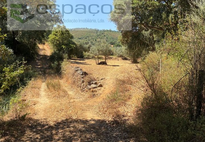 Terra a Fundao, Castelo Branco, Fundao - € 13.000 | Ref: 5841/CP - foto 1