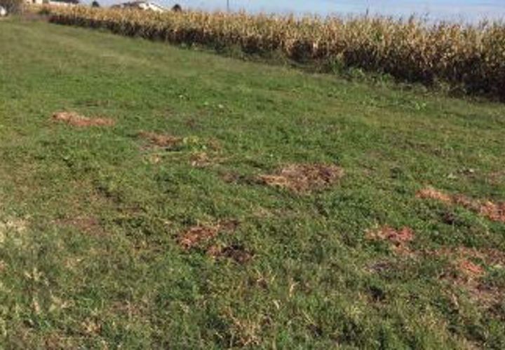 Terra a Villata, Vercelli, Villata - € 35.000 | Ref: 1022602 - foto 1