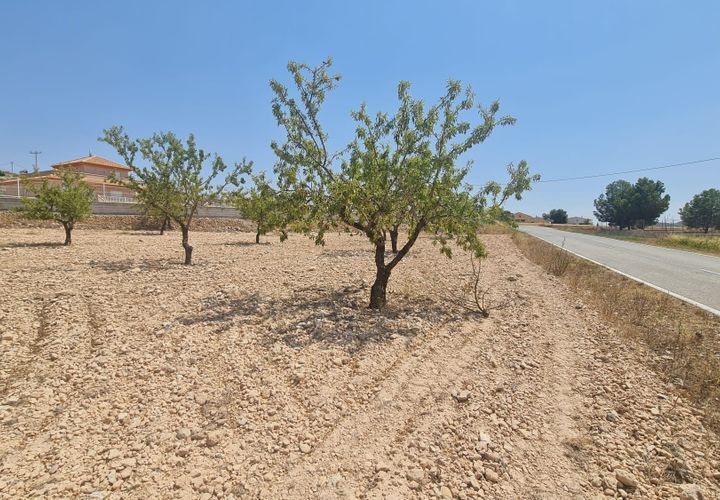 Helårsgrund i Jumilla, Murcia, Jumilla - € 34.995 | Ref: 45060-HK - foto 1
