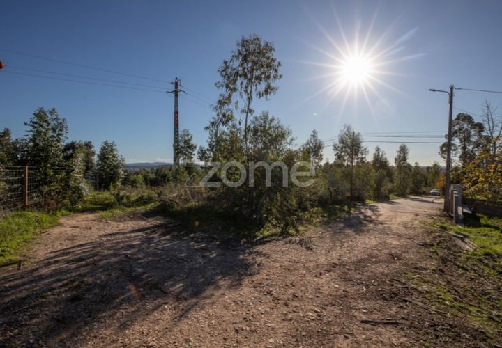 Terra a Antuzede e Vil de Matos, Coimbra, Antuzede e Vil de Matos - € 79.800 | Ref: ZMPT571906 - foto 1