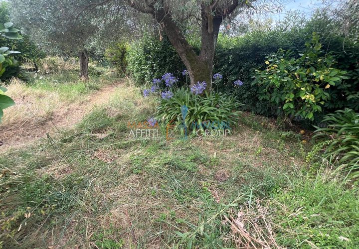 Erhvervsejendom i Massa, Massa and Carrara, Massa - € 23.000 | Ref: 3475 - foto 1