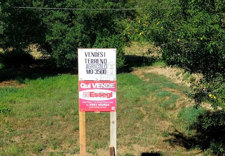 Erhvervsejendom i Lucca, Lucca, Lucca - € 35.000 | Ref: TR00300 - foto 1