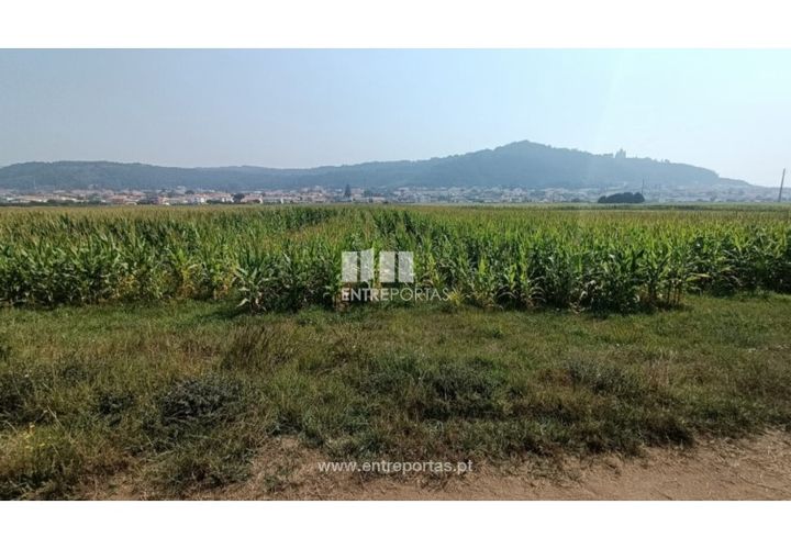 Terra a Areosa, Viana do Castelo, Areosa - € 26.000 | Ref: VCM14481 - foto 1