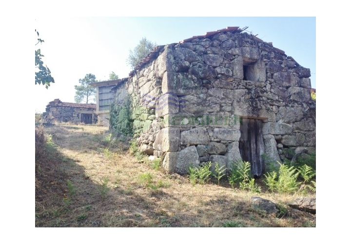 Farm i Sever do Vouga, Aveiro, Sever do Vouga - € 30.000 | Ref: FIN_1770 - foto 1