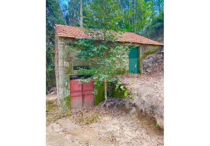 Villa en Sever do Vouga, Aveiro, Sever do Vouga - € 35.000 | Ref: CAS_1584 - photo 1