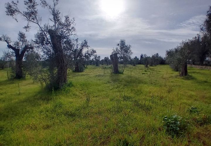 Tomt i Giuggianello, Lecce, Giuggianello - € 25 000 | Ref: 22 - foto 1