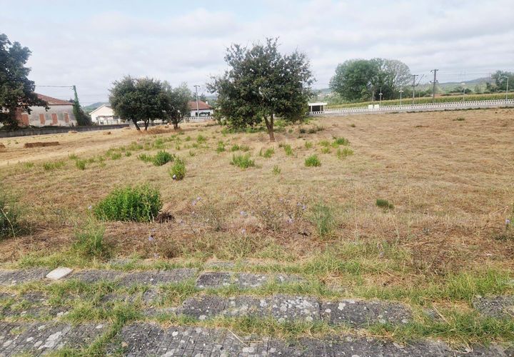 Helårsgrund i Pombal, Leiria, Pombal - € 40.000 | Ref: C0381-00793 - foto 1