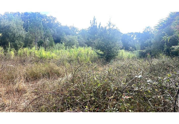 Terra a Bucelas, Lisbon, Bucelas - € 50.000 | Ref: T/4619-IM - foto 1