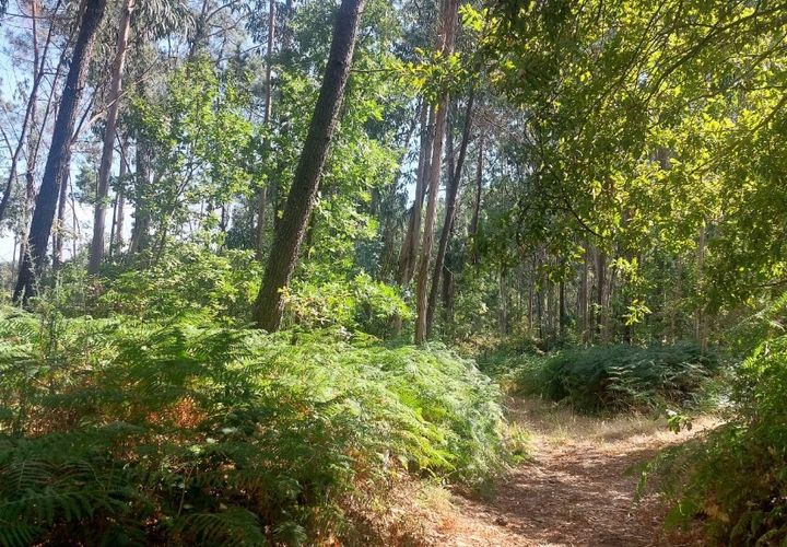 Helårsgrund i Amares, Braga, Amares - € 36.150 | Ref: 212053 - foto 1