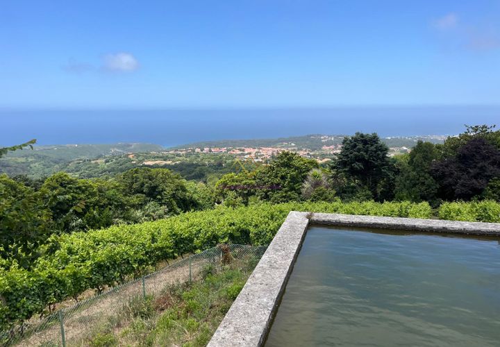 Farm i Sintra, Lisbon, Sintra - € 5.500.000 | Ref: TRI-199-25-CS - foto 1