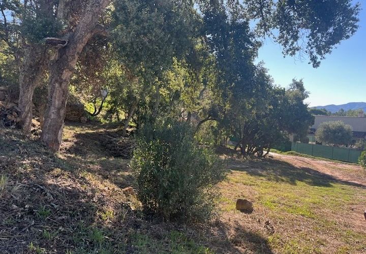 Terra a Vidauban, Var, Vidauban - € 110.000 | Ref: 1134MX2838 - foto 1